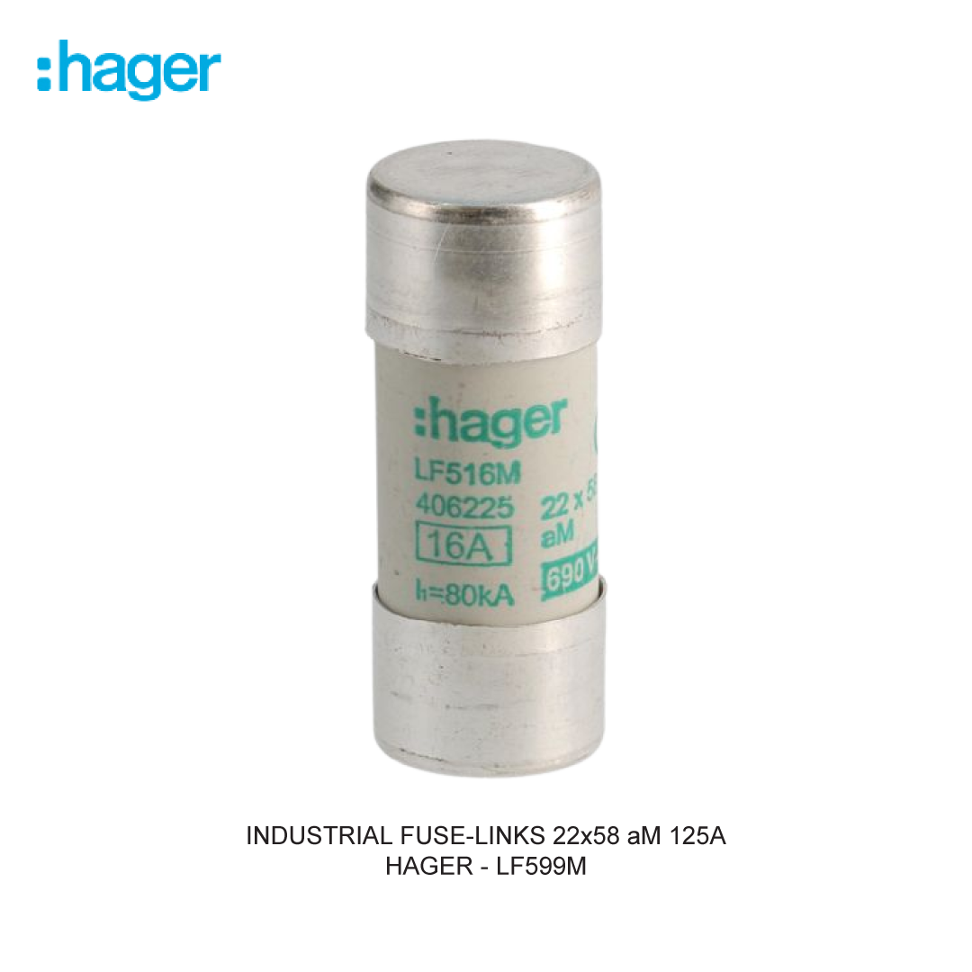 HAGER INDUSTRIAL FUSE-LINKS 22x58 aM 125A